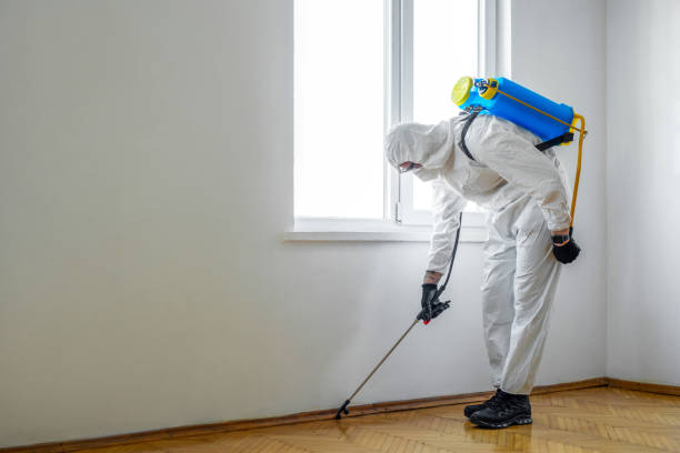 Reliable West Jefferson, NC Pest Control Solutions