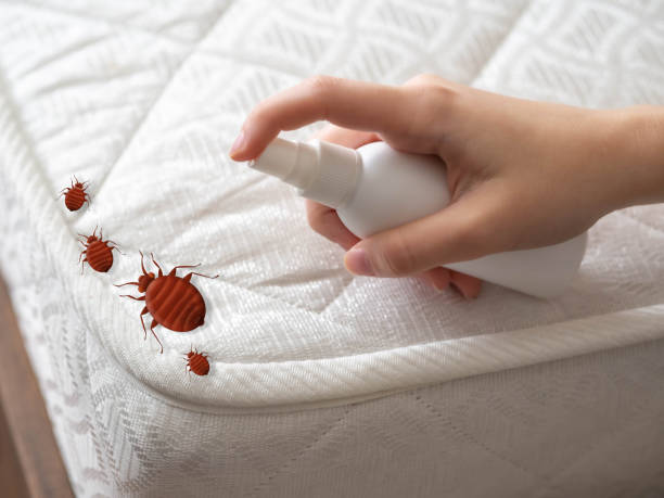 Pest Control Cost in West Jefferson, NC